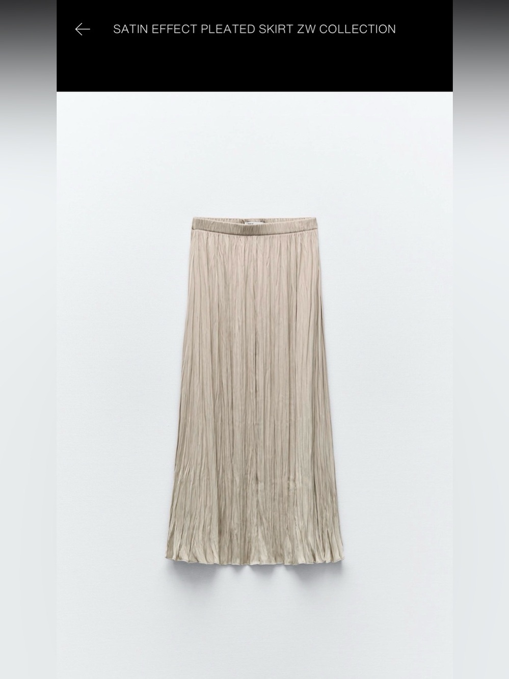 Zara Pleated Maxi Skirt in Light Beige